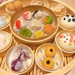 �v��������