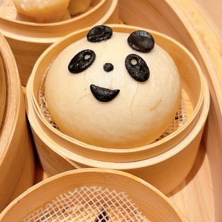 �����\���i�p���_�j