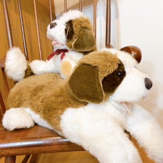 �`���Ƃ̍D���ȏꏊ